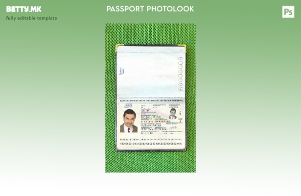 Модерен стил Молдавски пасош ( ) шаблон за фото изглед